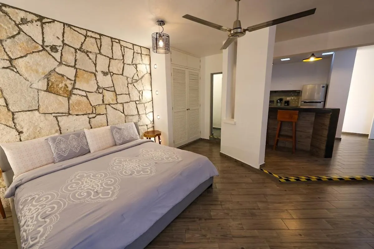 Studio In Cozumel Downtown Lejlighed